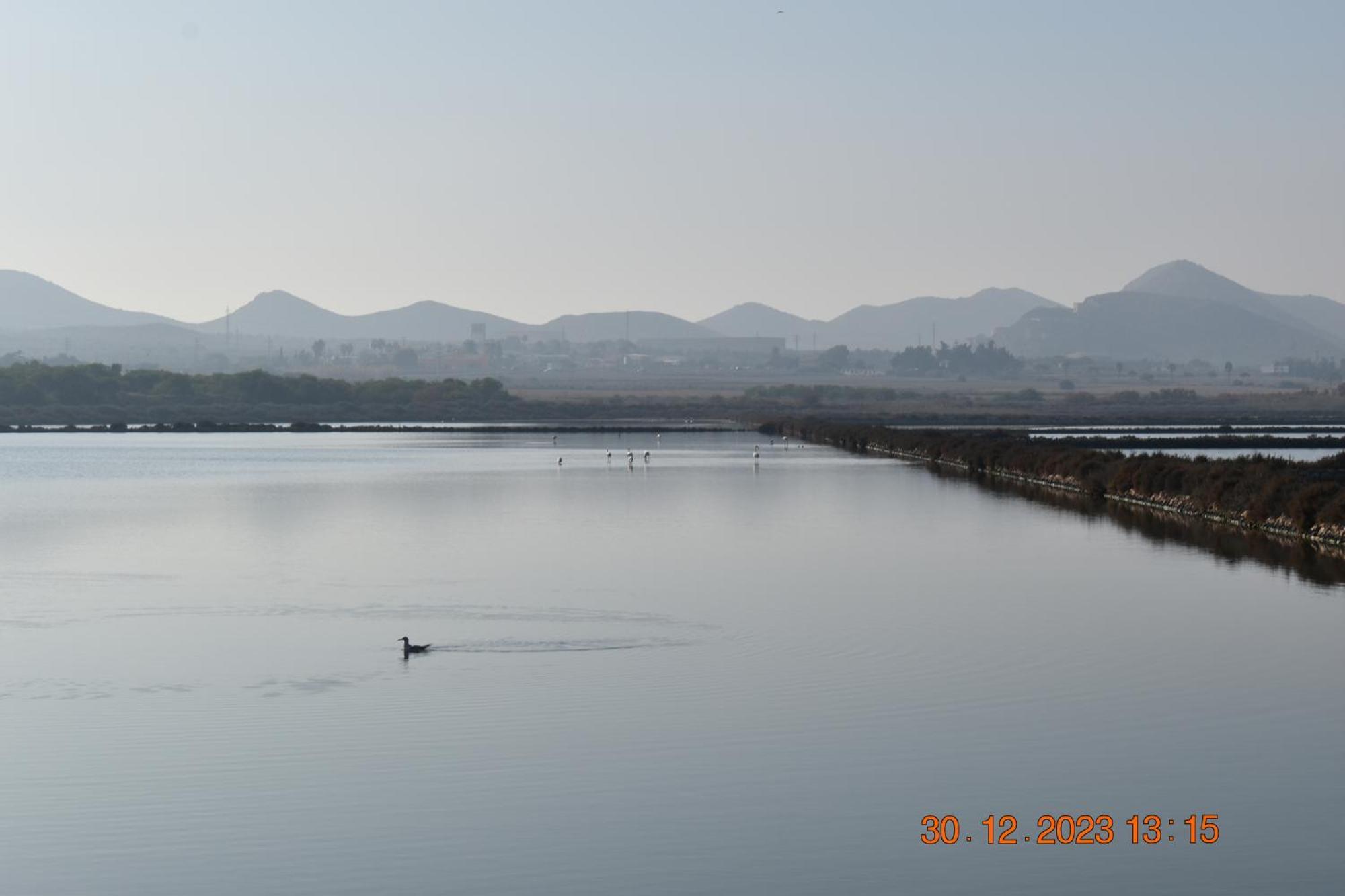 Apart Turisticos Marine Rest La Manga Mar Menor Piscinas Privadas Playa Paraiso  Εξωτερικό φωτογραφία