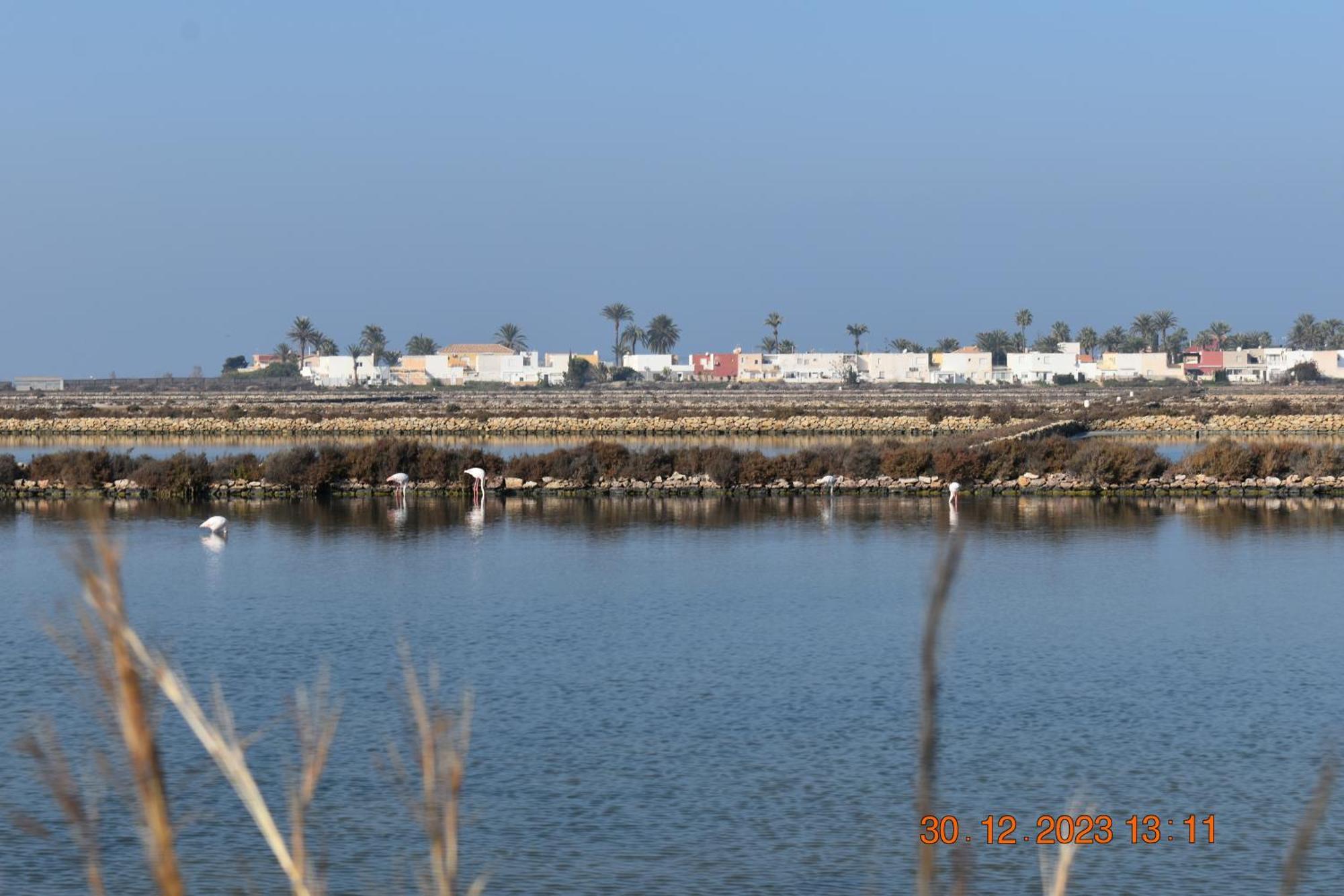 Apart Turisticos Marine Rest La Manga Mar Menor Piscinas Privadas Playa Paraiso  Εξωτερικό φωτογραφία
