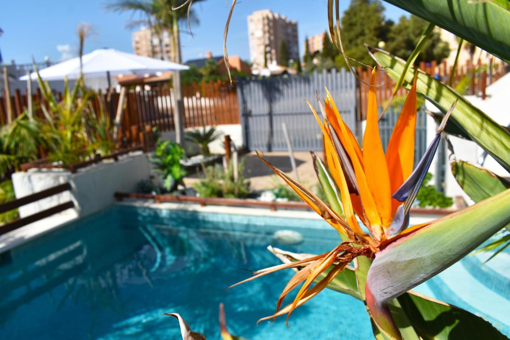 Apart Turisticos Marine Rest La Manga Mar Menor Piscinas Privadas Playa Paraiso  Εξωτερικό φωτογραφία